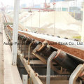 Steel Cord Conveyor Belt for General Use